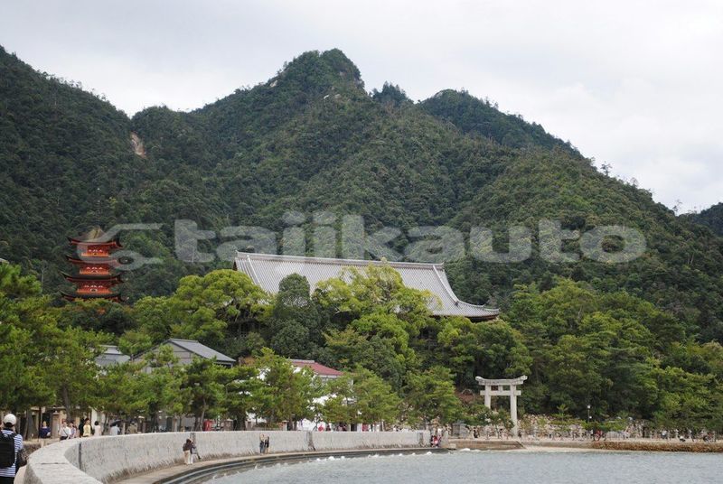 Big with watermark image