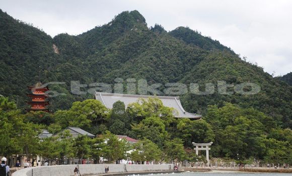 Medium with watermark image