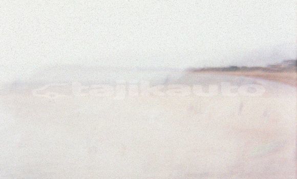 Medium with watermark image