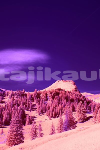 Big with watermark image