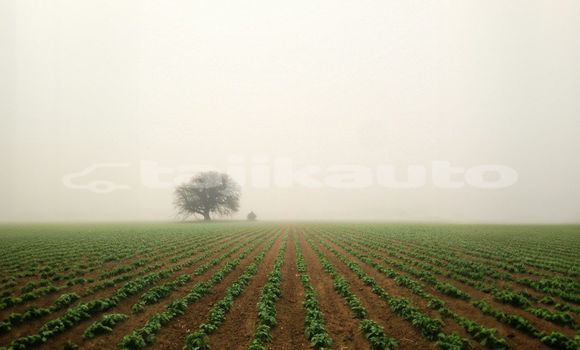 Medium with watermark image