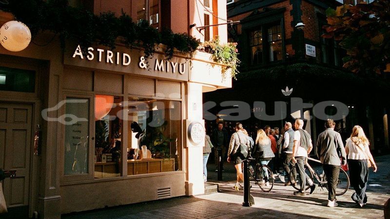 Big with watermark image