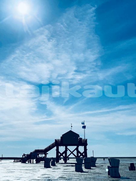 Big with watermark image