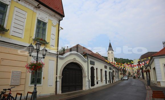Medium with watermark image