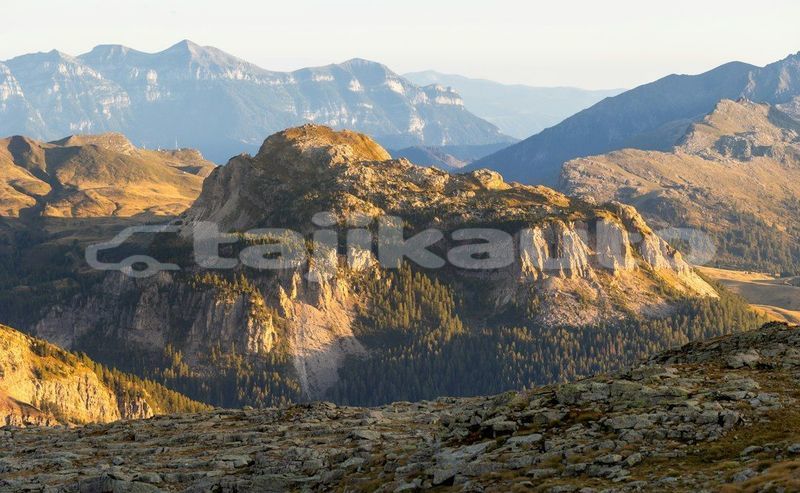 Big with watermark image