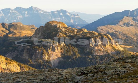 Medium with watermark image