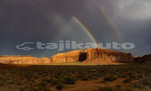 Medium with watermark image