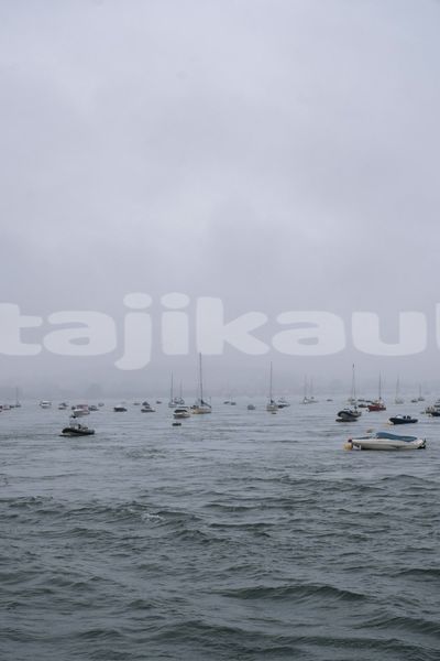 Big with watermark image