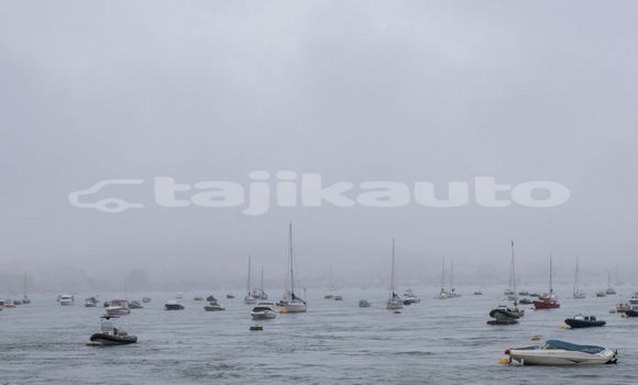 Medium with watermark image