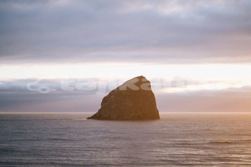 Big with watermark image