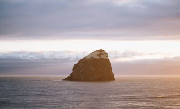 Medium with watermark image