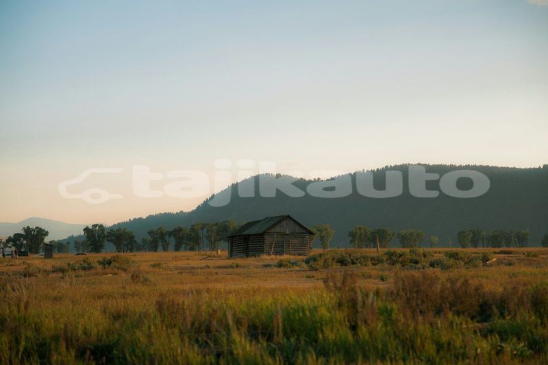 Big with watermark image