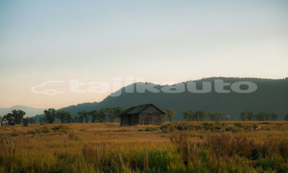 Medium with watermark image