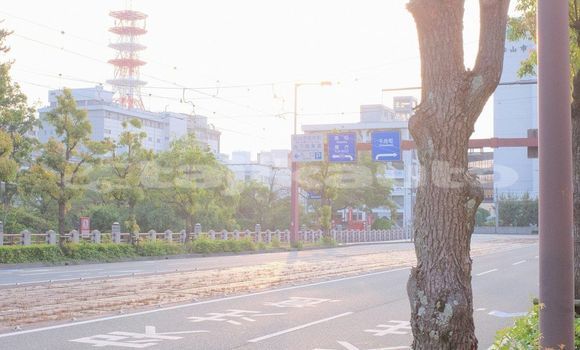 Medium with watermark image