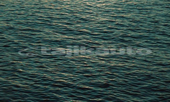 Medium with watermark image