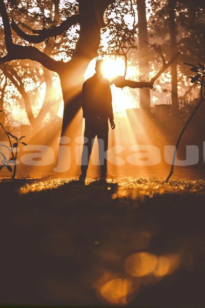 Big with watermark image