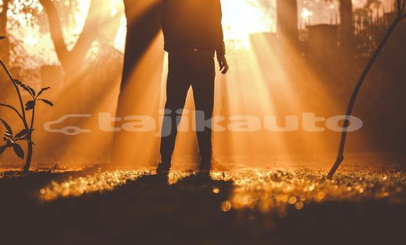 Medium with watermark image