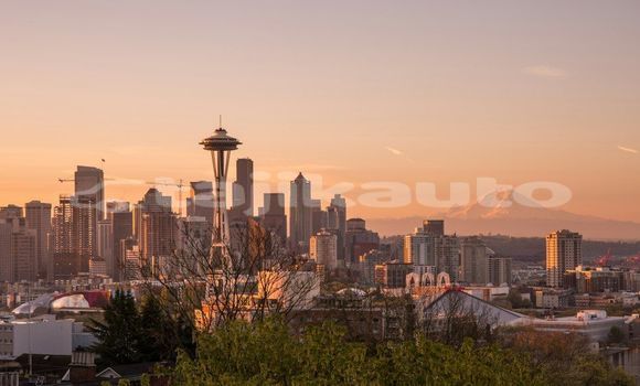 Medium with watermark image