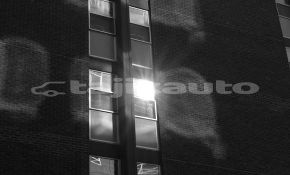 Medium with watermark image