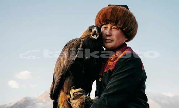 Medium with watermark image