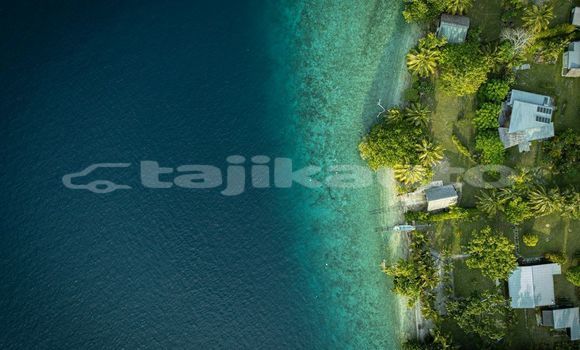 Medium with watermark image