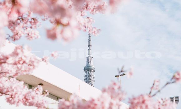 Medium with watermark image