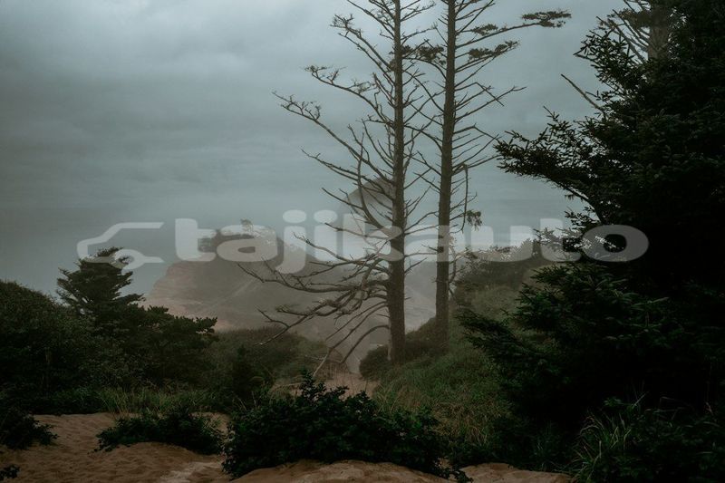 Big with watermark image