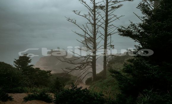 Medium with watermark image