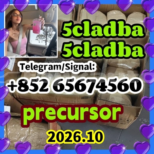 Big with watermark xcdv dsfbdfghg