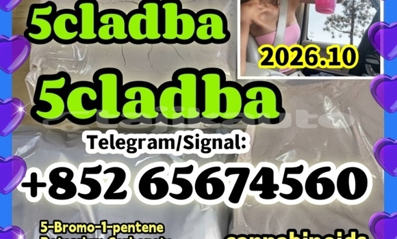 Medium with watermark fbvfgbnfgbfgb