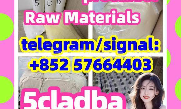 Buy 5CL-ADB-A China Supplier in Buston in Sughd Buy 5CL-ADB-A China Supplier in Buston in Sughd