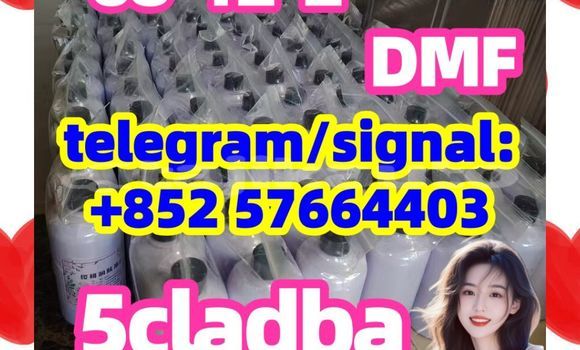Medium with watermark 513