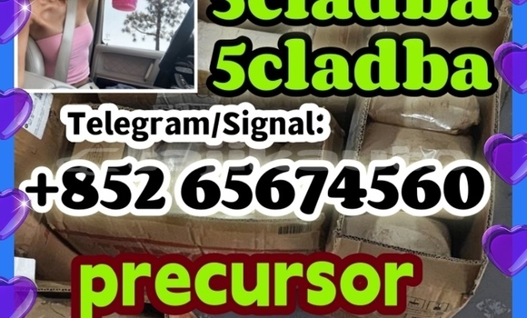 Medium with watermark xcdv dsfbdfghg
