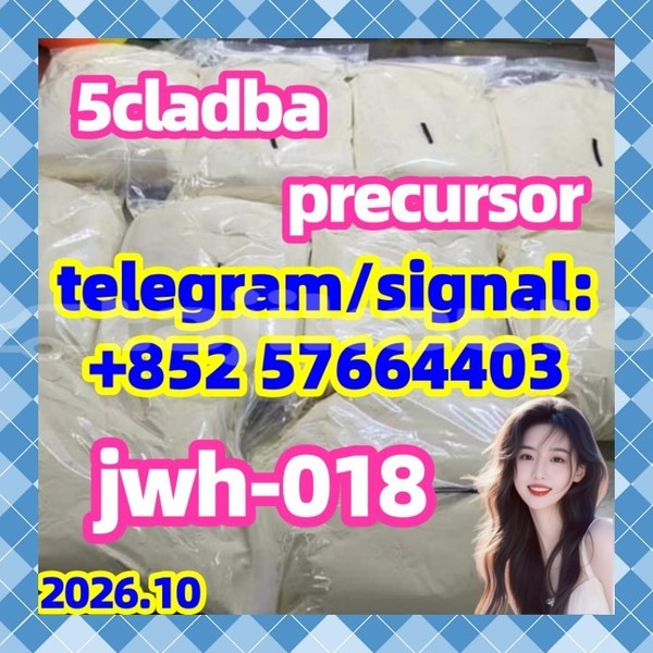 Big with watermark 55