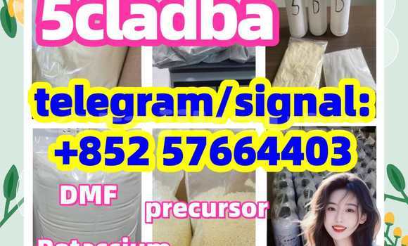 Medium with watermark 515