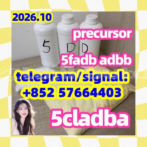Big with watermark 51