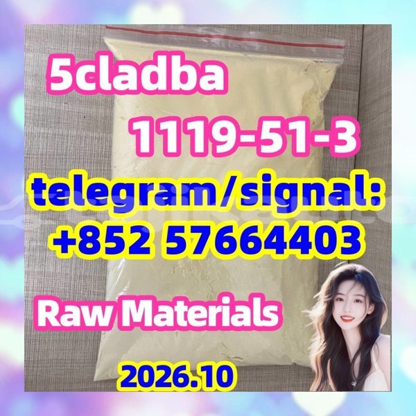 Big with watermark 511