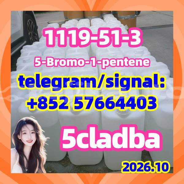Big with watermark 512