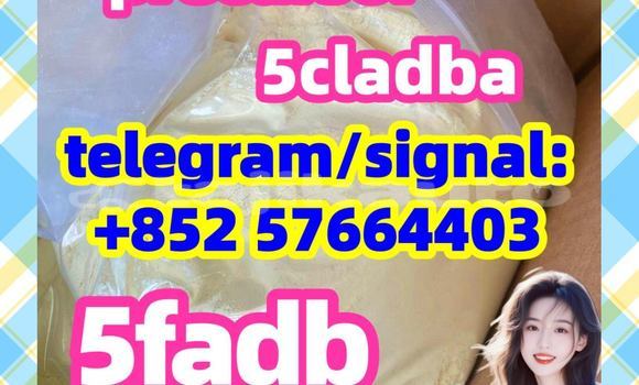 Buy 5cladba 5F-ADB ADBB in Chorku in Sughd Buy 5cladba 5F-ADB ADBB in Chorku in Sughd
