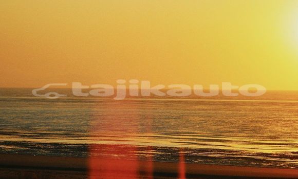 Medium with watermark image