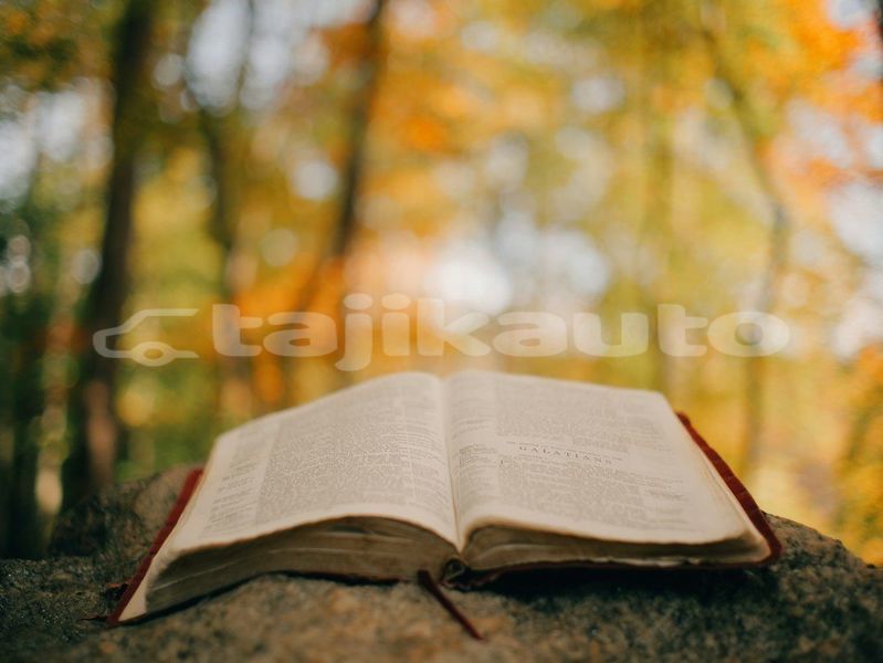 Big with watermark image