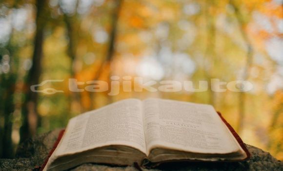 Medium with watermark image