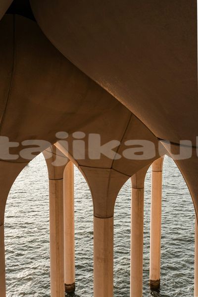 Big with watermark image