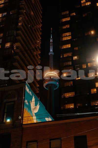 Big with watermark image