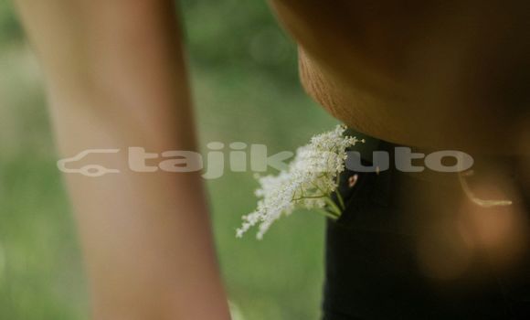 Medium with watermark image