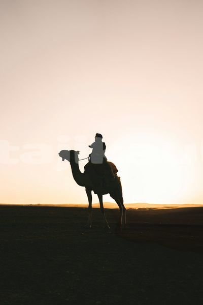 Big with watermark image
