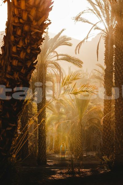 Big with watermark image