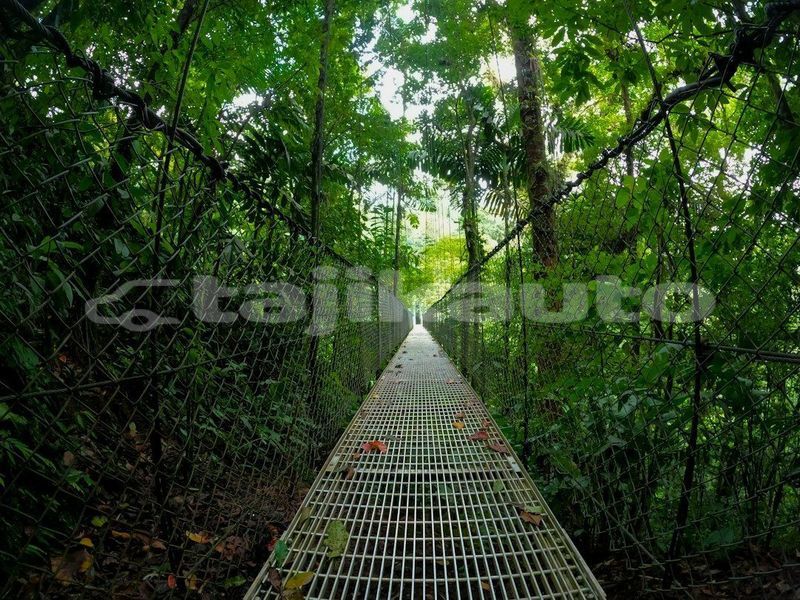 Big with watermark image