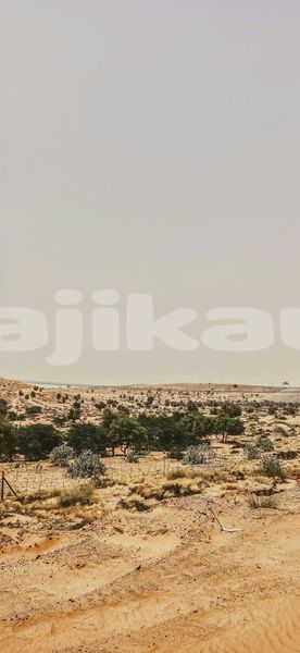 Big with watermark image