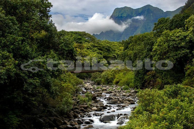 Big with watermark image